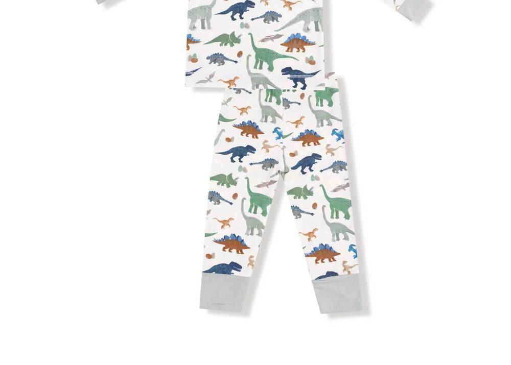 NEW ANGEL DEAR boys long sleeve loungewear set in washy dinos